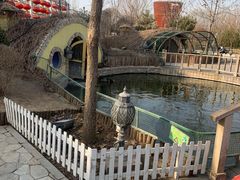 -南宫五洲植物乐园