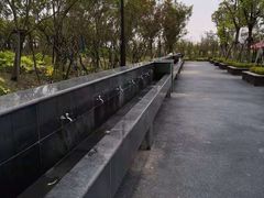 -春花秋色城市公园