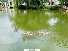 -J Create城市露营咖啡·简餐·宠物(上海动物园店)