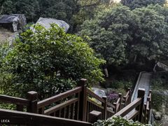 -天鹿湖森林公园