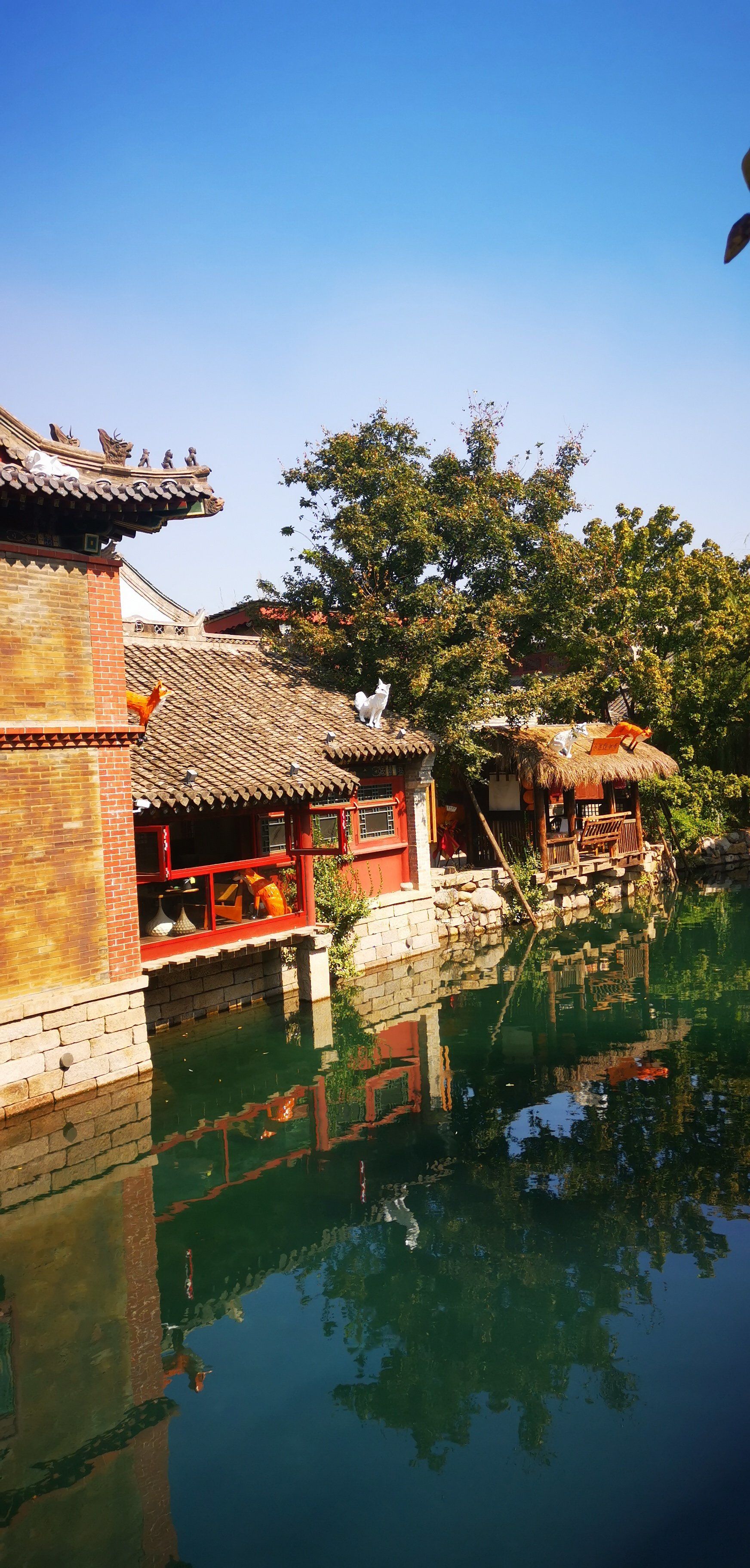 济南章丘明水古城 | 穿越千年的泉水之旅99