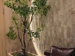 -哈根达斯(济南万象城店)