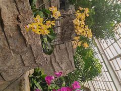 -石家庄市植物园