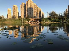 -前关湿地公园