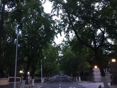 -八大关景区