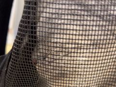 -瑞鹏宠物医院·骨科·猫科·内科(第一中心)