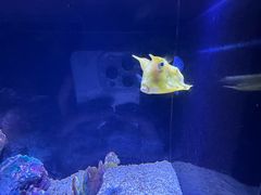 -上海海洋水族馆