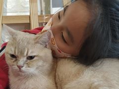 -平行世界·猫咖(首经贸店)