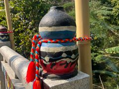 -西双版纳原始森林公园