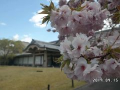 -醍醐寺