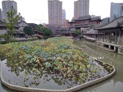 -龙潭水乡