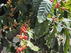 -后谷咖啡(建设巷店)