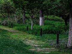 -范蠡湖公园