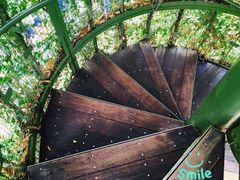 -三鹰之森吉卜力美术馆