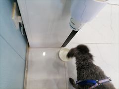 -纳吉亚猫专科动物诊疗中心(蒋宅口分院)