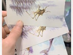-上海大自然野生昆虫馆(东方明珠·爬宠昆虫探索中心)