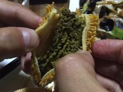 前海沿儿-鲁前海沿儿