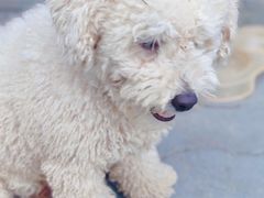 -乡乐园蟹庄·阳澄湖农家乐