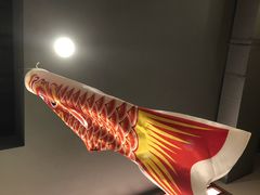 -竹马炭火烤肉(南屏店)