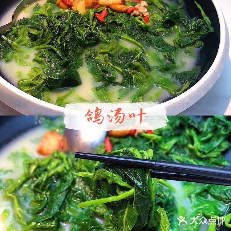 佛山探店|会爆汁的乳鸽💥羽鸽集