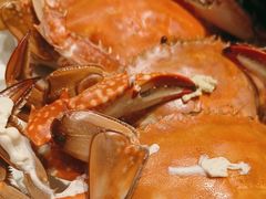 -佳和水饺(海德公馆店)