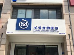 -关爱宠物医院·猫科中心·消化科(滨湖万达分院)