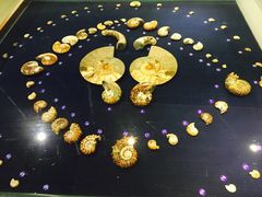 -青岛贝壳博物馆