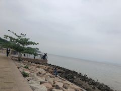 -深圳湾公园(南山区)