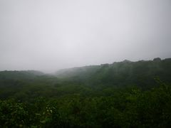 -大青沟风景区