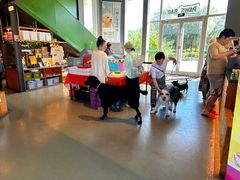 -爪吧宠物乐园 (温榆河示范区店)