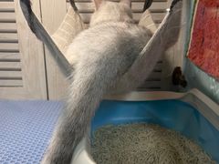 -争鲜回转寿司(金桥家乐福店)