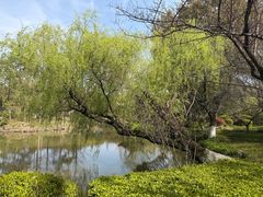 -瀛洲公园