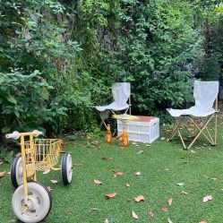 -瞳孔摄影(植物园路店)