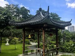 -广州神农草堂中医药博物馆