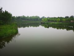 -东郊湿地公园