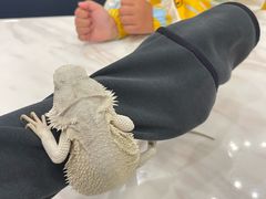 -FAIRYLAND龙族星球主题餐厅(凯丹广场店)