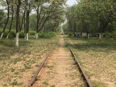 -永定河休闲森林公园