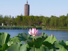 -西海子公园