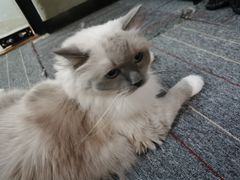 -零纪元VR体验馆·桌游(黄浦店)