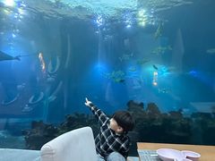 -涛·海底餐厅·美人鱼·自助餐·海底隧道(三亚海棠湾洲际度假酒店)