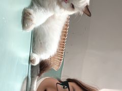 -怪兽屋·羊驼·猫咖·狗咖(俊华广场店)