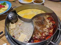 -青瓷火锅料理(西单大悦城店)