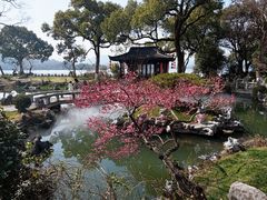 -杭州西湖柳莺里酒店