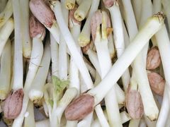 -畲乡一品鱼府土菜馆