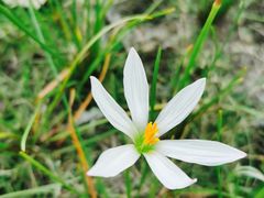 -白鹭湾湿地公园