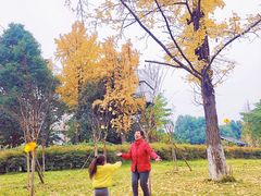 -沙河三洞古桥公园