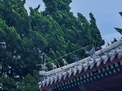 -湛山寺
