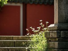 -开福禅寺
