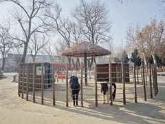 -保定市动物园