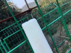 -树山生态村